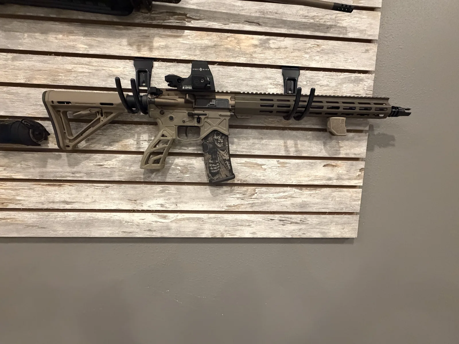 FDE AR with skull-print magazine and red dot optic